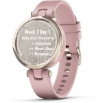 Garmin 010-02384-13-3