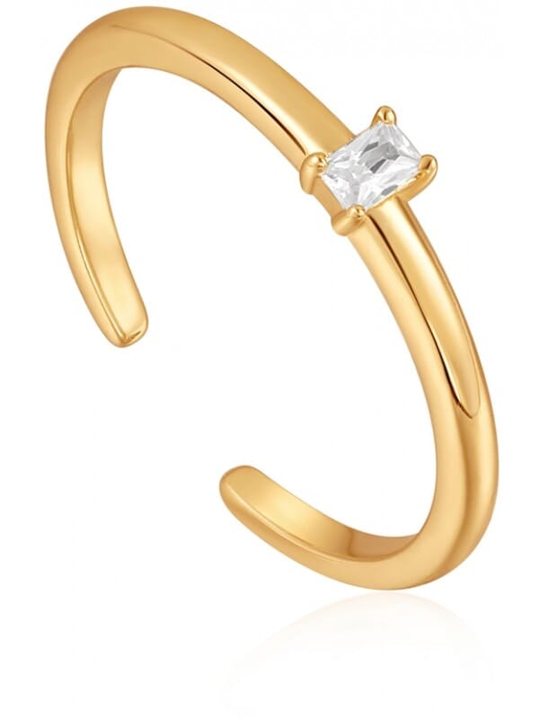 Ania Haie AH R037-01G Glam Rock Dames Ring - Minimalistische ring