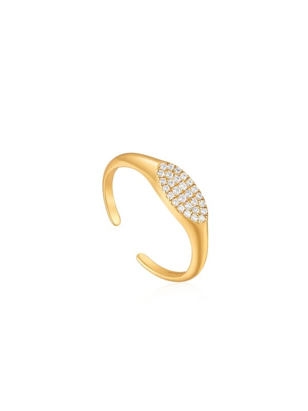 Ania Haie AH R037-02G Glam Rock Dames Ring - Minimalistische ring